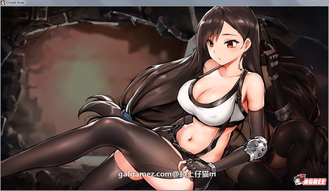封闭的区域-Z ！DL正式版+存档★黑丝蒂法【解密ACT/全动画】新作/全CV/战斗互动/800M