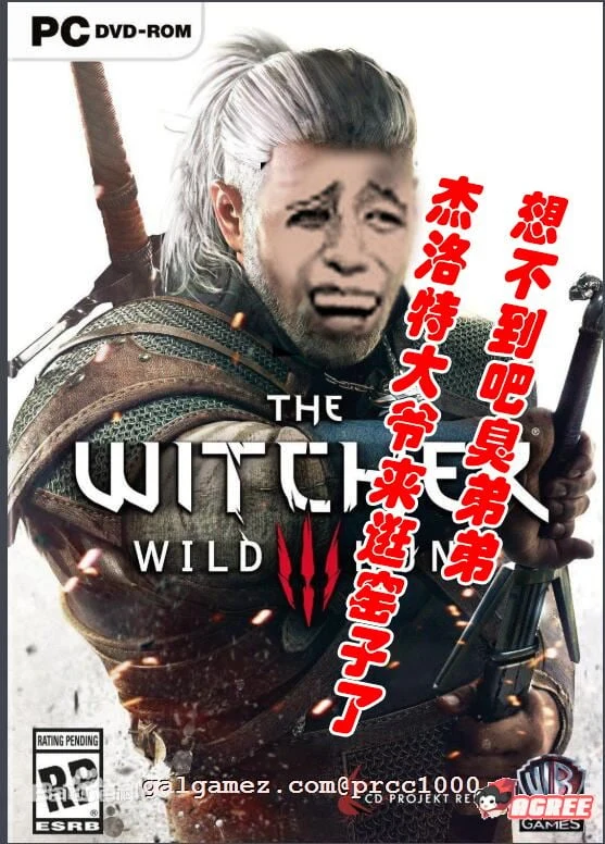 【3A大作/中文/魔改】巫师3：狂嫖 绅士邪恶魔改版[解压即玩小白福音]【55G/新魔改】 畅玩游戏 预览第2张