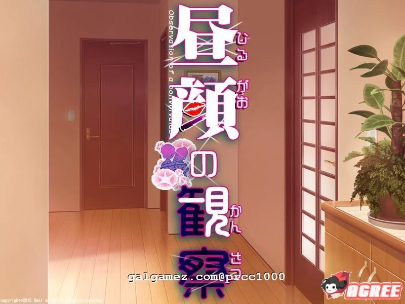 昼颜的观察者（ninyun个人汉化作弊版）[情感SLG/汉化] 付CG包 /1G/