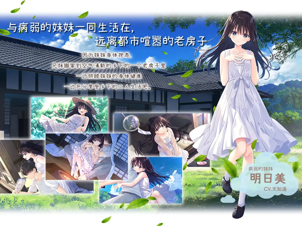 痴情哥哥与病弱妹妹的乡村生活 / Steam官方中文步兵版 [PC-RPG] (3G) [微云网盘|直链]