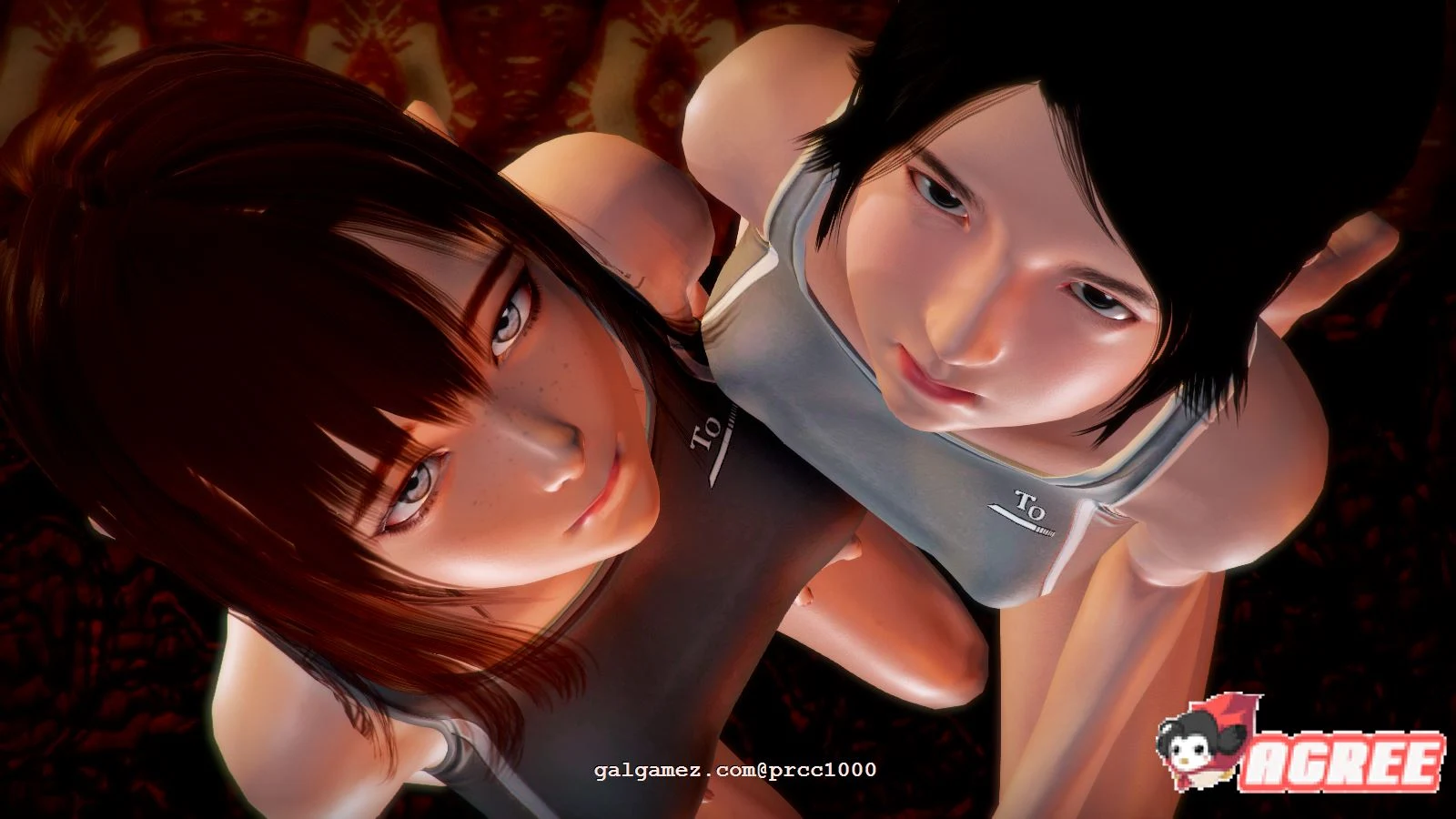昏暗之声 Noise V0.38 官方中文完整版【国产超高自由度RPG/步兵】 {4.2G/全CV}