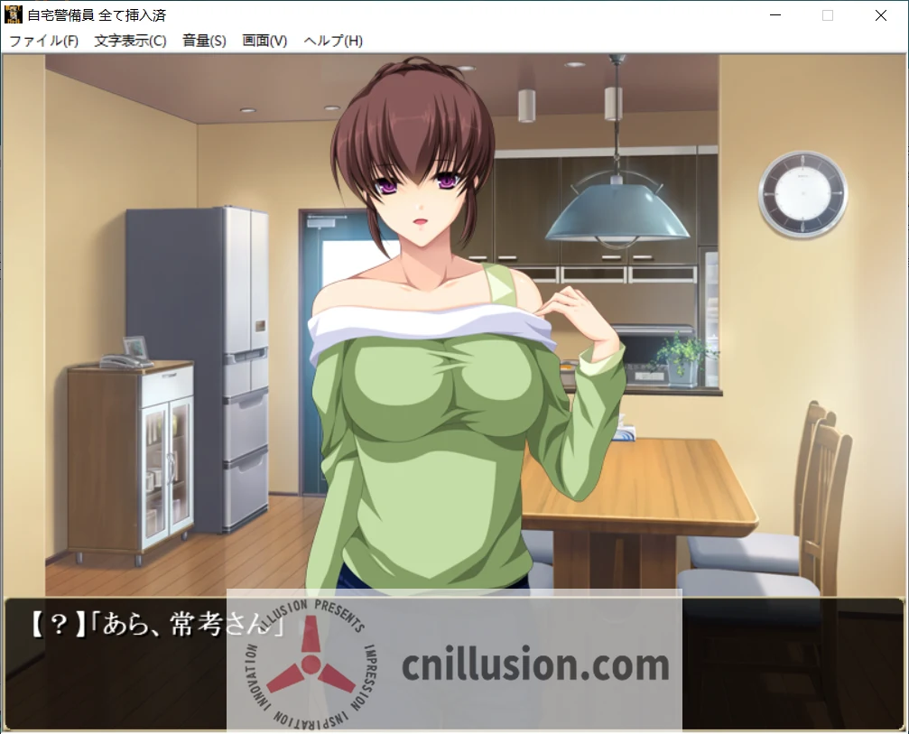 自宅警備員 全て接続済み 全部已安装进入 [AI汉化版] 威迫/怀孕/汉化 {精品ADV} (PC-ADV游戏)