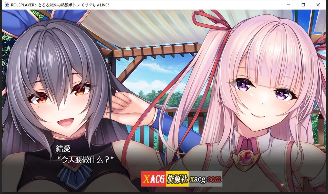 ROLEPLAYER 山药姐妹互动游戏 [神级SLG/汉化/动态] 精翻汉化版+全CG档