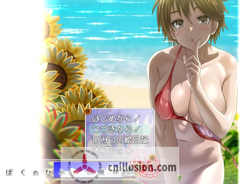 我的秘密暑假 花丸 ぼくのひみつの夏休み はなまる [汉化RPG/动态] [WY/FM/470M]