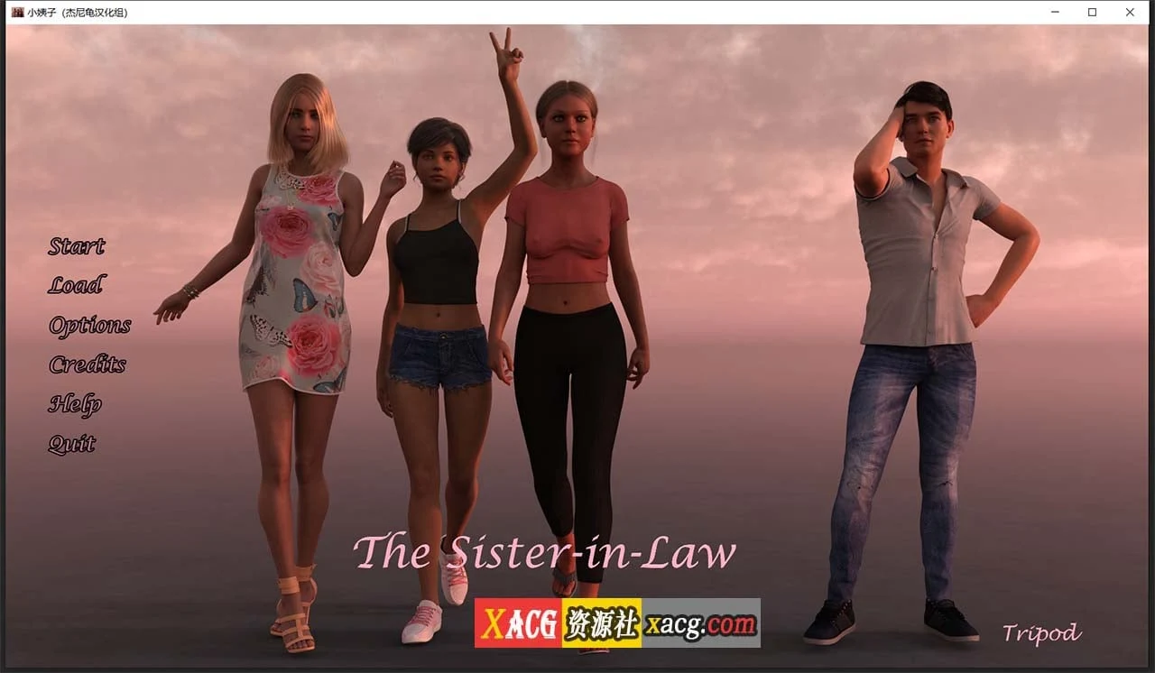 小姨子 V0.04.03C 精翻汉化版 [欧美SLG/动态] {PC+安卓/2.2G}