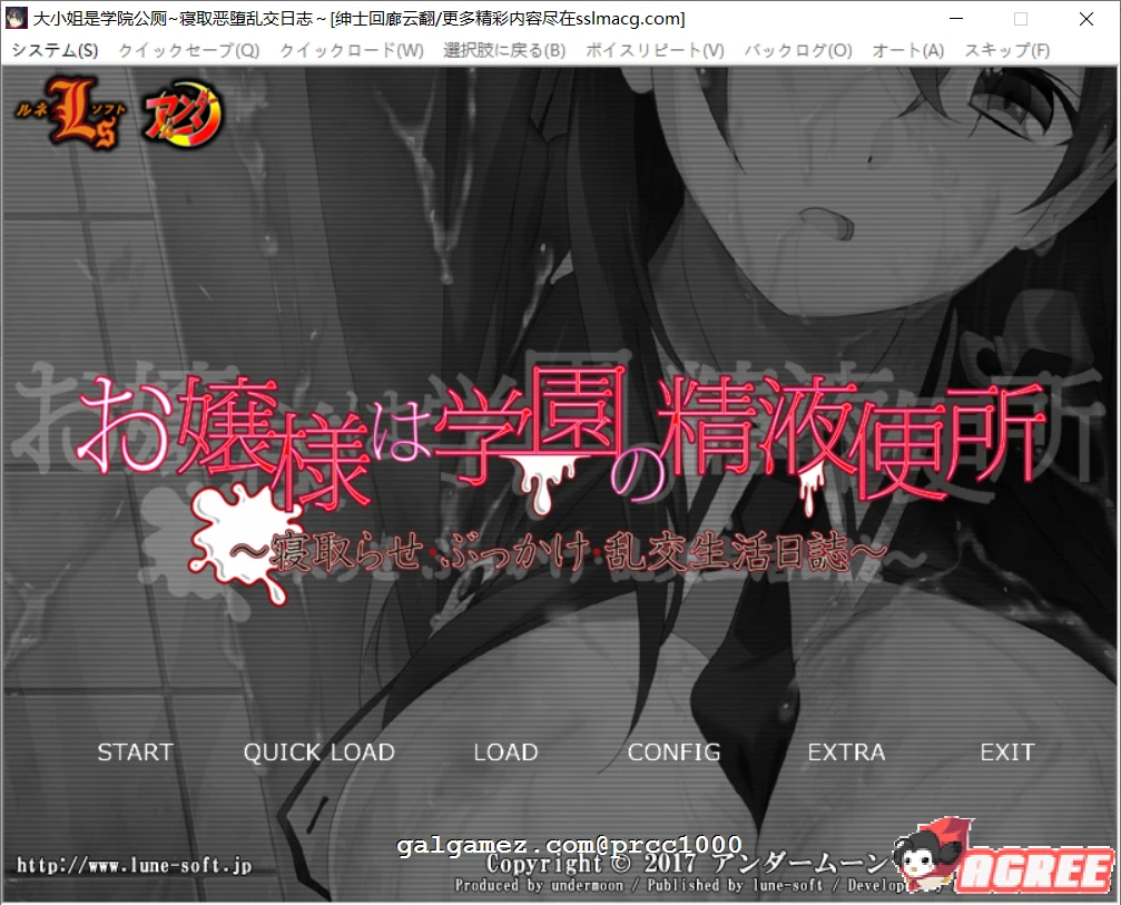 大小姐学院情感观察日记 云翻汉化版 [ADV/1G]
