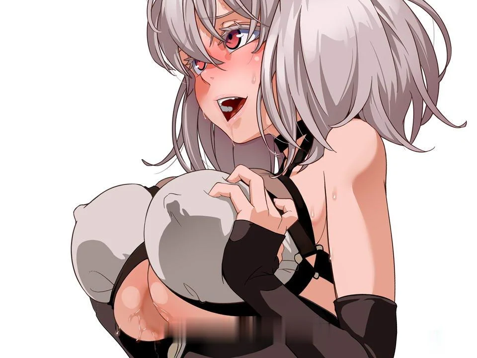 尼夫海姆的猎人：阿瑟尔的烙印！[RPG/完整/官方中文/DLC/全动画/CG/攻略] 1G